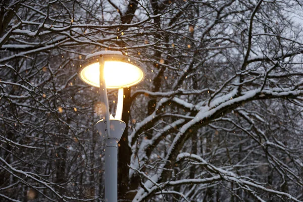 Lámpara Led Brillante Durante Nieve Fondo Árboles Invierno Iluminación Eléctrica — Foto de Stock