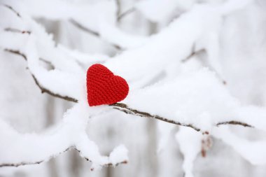 Kış ormanlarında, karda bir ağaç dalında kırmızı örülmüş aşk kalbi. Sevgililer günü kartı, Noel kutlaması için arka plan