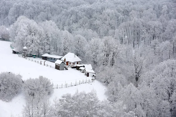 Bauernhaus Auf Einem Hügel Wald Nach Schneefall Ländliche Szenerie Malerische — Stockfoto