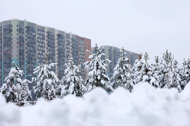 Kış şehrinin yerleşim bölgesi, karla kaplı çam ağaçları ve apartman binaları. Gayrimenkul, Noel tatilinde ev seçmek ya da ev kiralamak