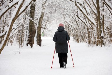 Soğuk havada yürüyen İskandinav, sağlıklı bir yaşam tarzı. Sopalı yaşlı kadın kış parkında karla kaplı arka planda yürüyor.