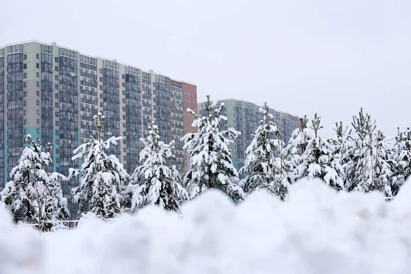Barrio Residencial Ciudad Invierno Vista Pinos Cubiertos Nieve Edificios Apartamentos —  Fotos de Stock