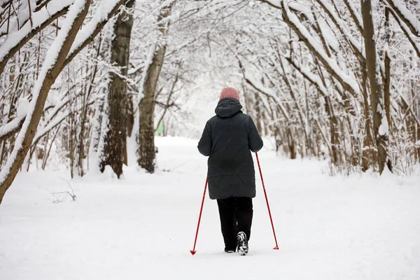 Soğuk havada yürüyen İskandinav, sağlıklı bir yaşam tarzı. Sopalı yaşlı kadın kış parkında karla kaplı arka planda yürüyor.