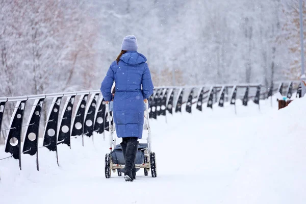 Egy Babakocsis Lány Sétál Téli Parkban Időjárás Koncepció Anyaság Egyedülálló Jogdíjmentes Stock Fotók