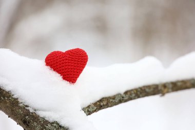 Kış ormanlarında, karda bir ağaç dalında kırmızı örülmüş aşk kalbi. Sevgililer günü kartı, Noel kutlaması için arka plan