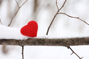 Kış ormanlarında, karda bir ağaç dalında kırmızı örülmüş aşk kalbi. Sevgililer günü kartı, Noel kutlaması için arka plan