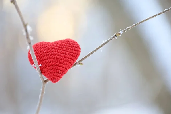 Rood Gebreid Liefde Hart Een Boom Twijg Bedekt Met Sneeuw — Stockfoto