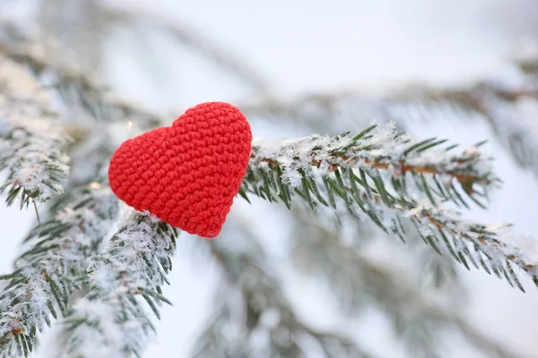 Rood Gebreid Liefde Hart Sparren Takken Bedekt Met Sneeuw Vorst — Stockfoto