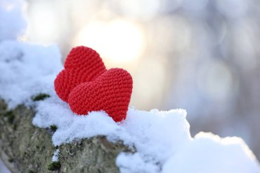 Two love hearts on tree branch covered with snow and ice on winter sun background. Greeting card for Valentine's day