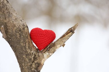 Valentines heart on a tree branch in winter forest. Romantic card, background for Valentine's day celebration