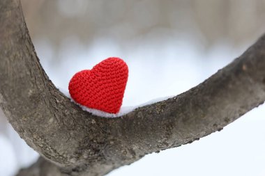 Valentines heart on a tree branch covered with snow in winter forest. Romantic card, background for Valentine's day celebration