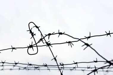 Barbed wire on sky background. Concept of boundary, prison, war or immigration
