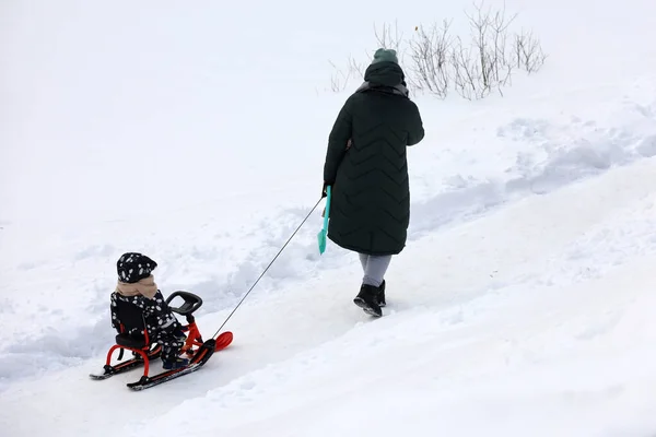 Lovagol Gyermek Szánkó Családi Szabadidő Téli Parkban Időjárás — Stock Fotó
