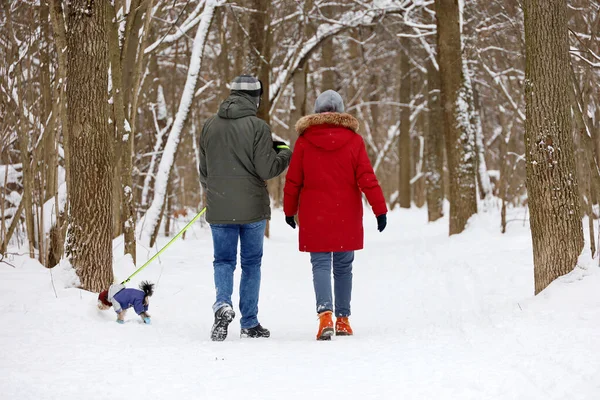 Par Paseando Perro Parque Invierno Concepto Clima Frío Nieve Ocio — Foto de Stock