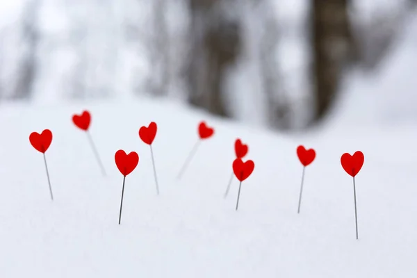 Rode Harten Een Sneeuw Winterse Bosachtergrond Wenskaart Romantische Liefde Valentijnsdag — Stockfoto