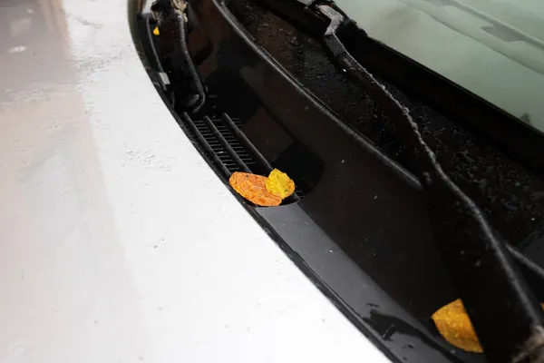 Κίτρινα φθινοπωρινά φύλλα στο καπό του αυτοκινήτου — Φωτογραφία Αρχείου