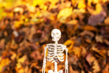 Sarı sonbahar yaprakları arasında küçük insan iskeleti