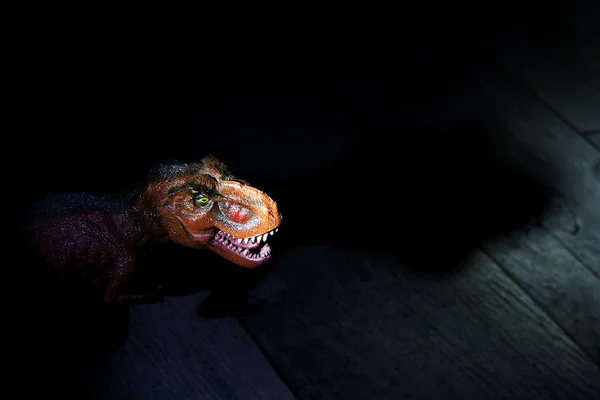 Iluminado Tyrannosaurus Cabeça Escuro Perto Copiar Espaço — Fotografia de Stock