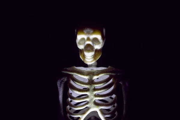 Ανθρώπινο Μοντέλο Σκελετού Στο Σκοτάδι Από Κοντά — Φωτογραφία Αρχείου