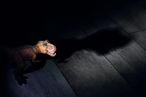 Iluminado Tyrannosaurus Cabeça Escuro Perto Copiar Espaço — Fotografia de Stock