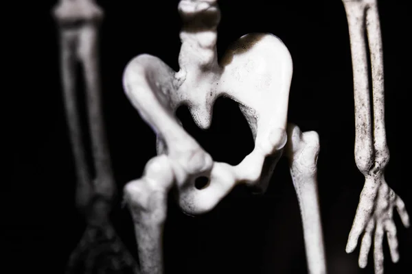 Skeleton Πυελικό Οστό Στο Σκοτάδι Από Κοντά — Φωτογραφία Αρχείου