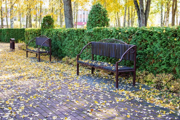 Gele Herfst Loof Een Park Bankje Dichtbij — Stockfoto