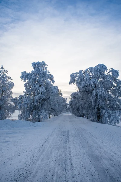 Güzel kış yol — Stok fotoğraf