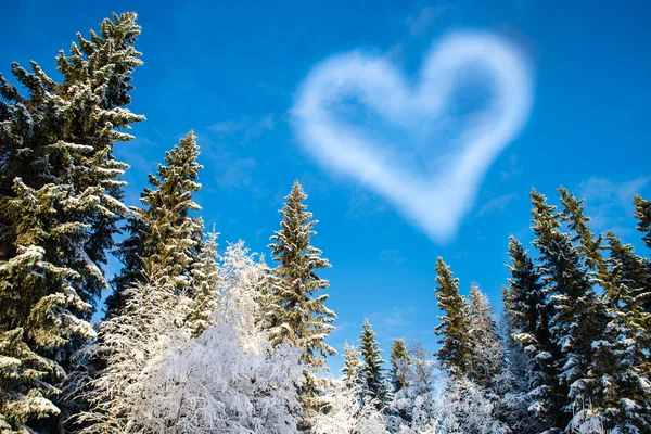 Forest with blue sky and a cloud shaped heart for Valentine's Da — Stock Photo, Image