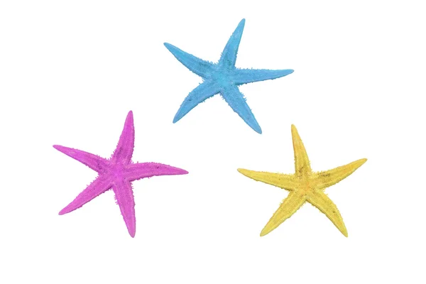 Три разноцветные морские звезды на белом фоне — стоковое фото