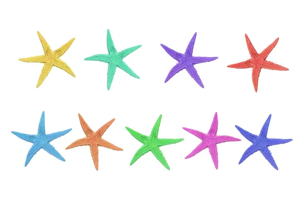 Nove estrelas do mar coloridas sobre um fundo branco — Fotografia de Stock