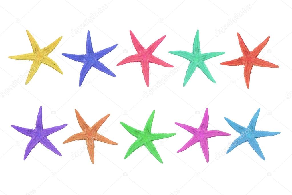 ten colorful starfish on a white background