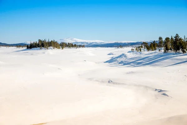 Vista de invierno de la naturaleza virgen — Foto de Stock