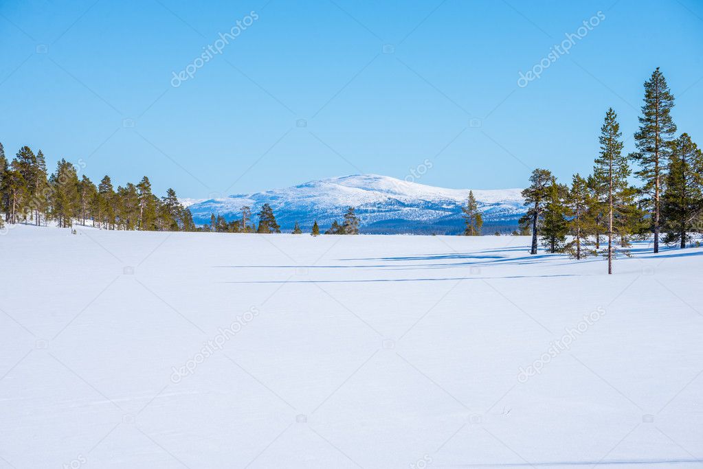 winter picture with forests and mountains
