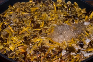 Huni chanterelles bir tavada bir sürü