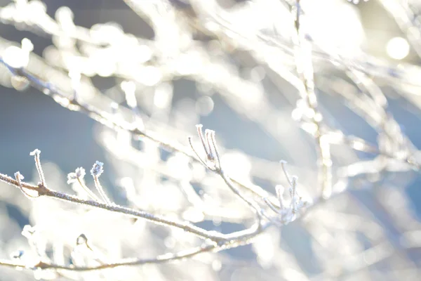 Fundo de luz perfeita — Fotografia de Stock