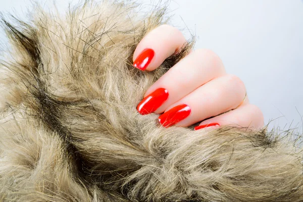 Woman's hand with red long nails — Stock Photo, Image