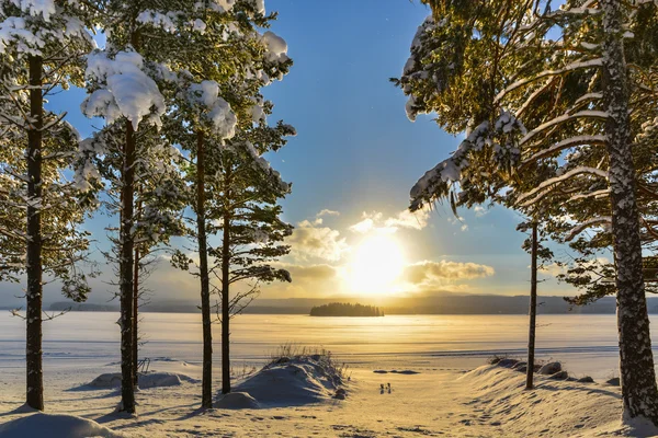 Bela imagem de inverno de um lago com pinheiros em primeiro plano — Fotografia de Stock