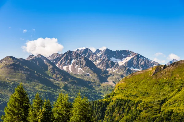 Beautiful picture with trees in the foreground and high mountains in the background — Stock Photo, Image