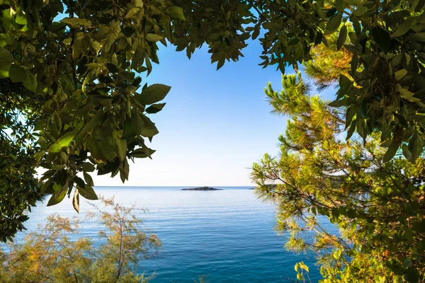 Blick durch den Wald auf ruhiges Meer und klaren blauen Himmel — Stockfoto