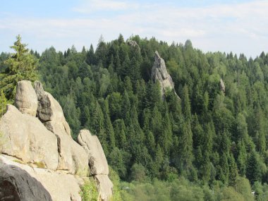 Renkli yaz peyzaj Karpat Dağları.