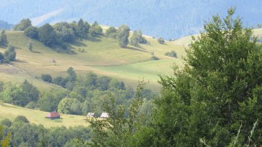 Renkli yaz peyzaj Karpat Dağları.