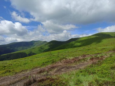 Kitap kapağı. Karpat Dağları 'ndaki renkli yaz manzarası. Dağ manzarası