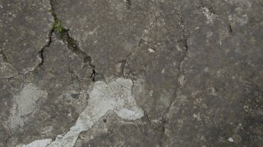 Eski çatlamış beton. Çatallı Grunge beton duvar, tasarım ve arka plan dokusu için. Taş kaldırım. somut doku