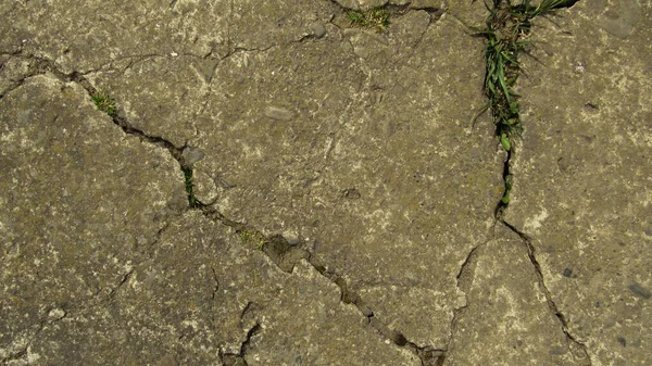 Cimento Velho Rachado Grunge Parede Cimento Concreto Com Rachadura Para — Fotografia de Stock