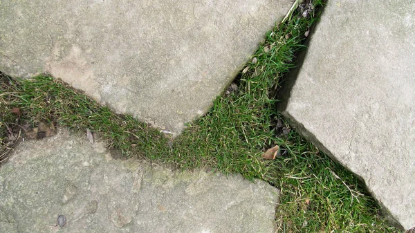 Cimento Velho Rachado Grunge Parede Cimento Concreto Com Rachadura Para — Fotografia de Stock