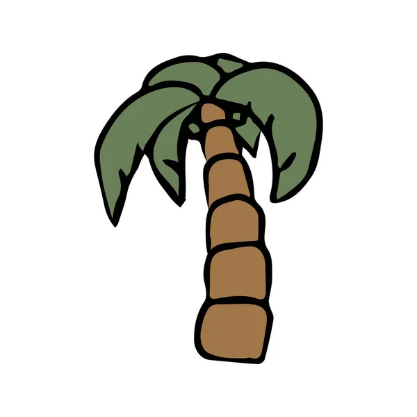 Palm Icoon Doodle Vector Illustratie Met Palm — Stockvector