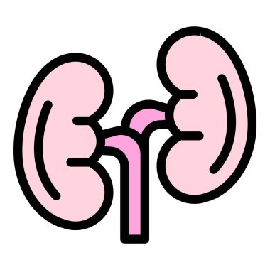 İnsan böbrek simgesi renk ana hatları vektörü
