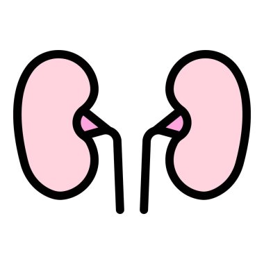 Anatomi böbrek simgesi renk ana hatları vektörü