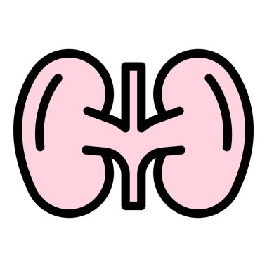 Sistem böbrek simgesi renk ana hatları vektörü