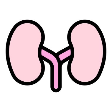 Sistem böbrek simgesi renk ana hatları vektörü